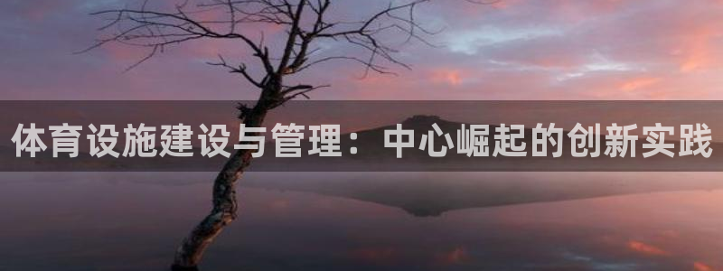 意昂体育4平台注册流程视频：体育设施建设与管理：中心