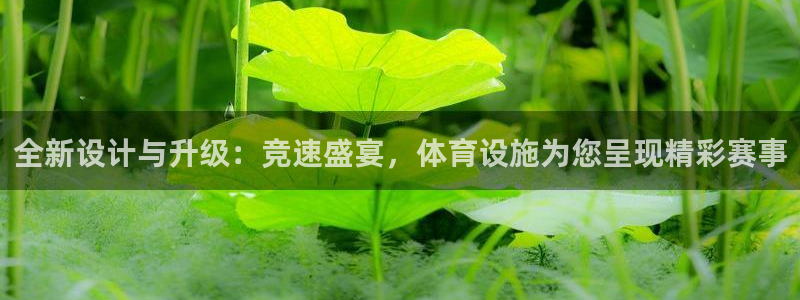 意昂体育4官方客服电话：全新设计与升级：竞速盛宴，体育设施为