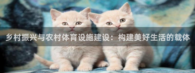 意昂体育4招商电话号码是多少：乡村振兴与农村体育设施