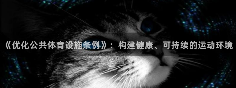 意昂4娱乐平台：《优化公共体育设施条例》：构建健康、
