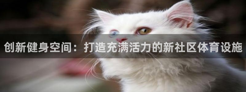 意昂体育4招商电话是多少啊：创新健身空间：打造充满活