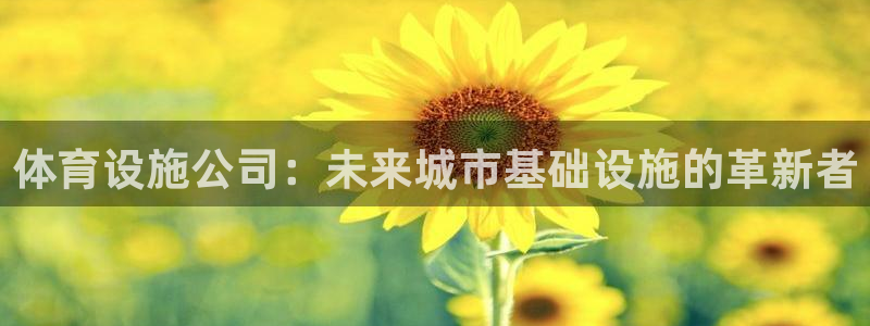 意昂4娱乐40996：体育设施公司：未来城市基础设施