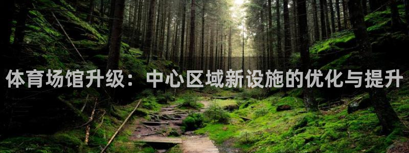 意昂体育4招商电话号码查询是多少：体育场馆升级：中心