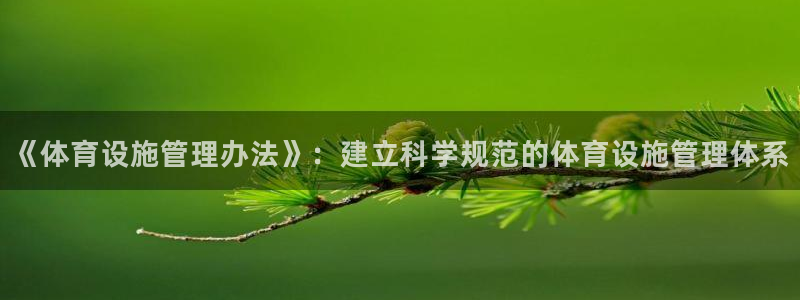 意昂体育4招商：《体育设施管理办法》：建立科学规范的体育设施