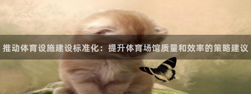 意昂体育4招商电话地址：推动体育设施建设标准化：提升