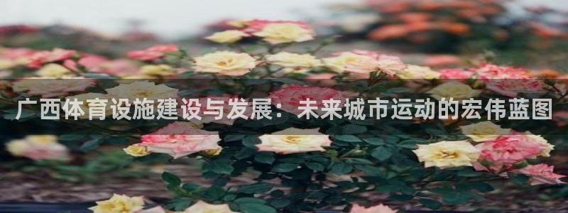 意昂体育4平台假的吗是真的吗吗：广西体育设施建设与发展：未来