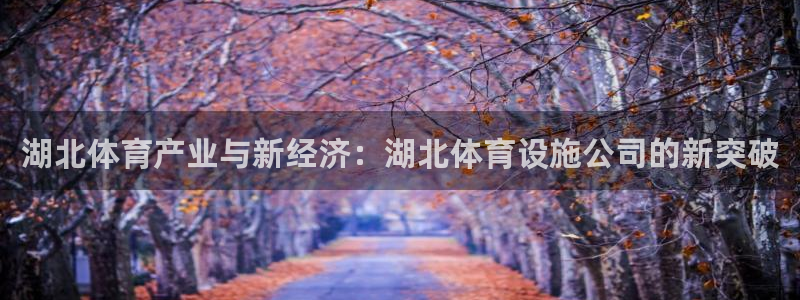 意昂4代理：湖北体育产业与新经济：湖北体育设施公司的