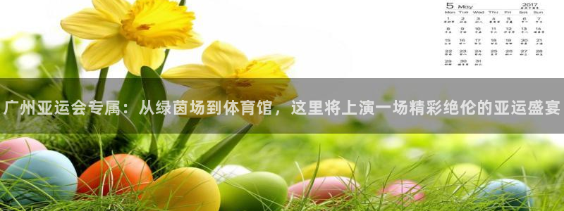 意昂4娱乐下载：广州亚运会专属：从绿茵场到体育馆，这