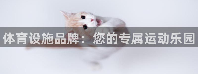 意昂体育4：体育设施品牌：您的专属运动乐园