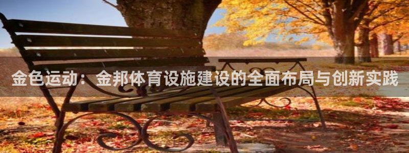 意昂平台体育：金色运动：金邦体育设施建设的全面布局与创新实践