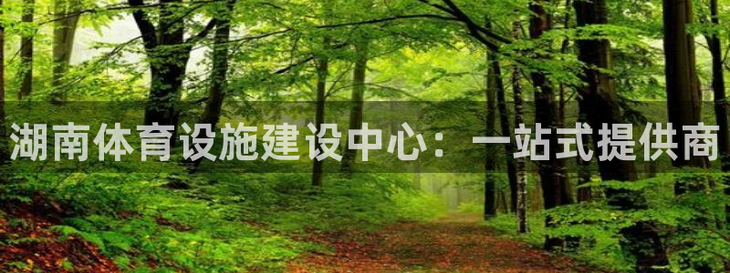 意昂4代理：湖南体育设施建设中心：一站式提供商