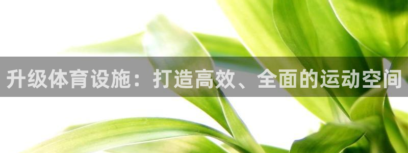 意昂体育4招商电话号码是多少啊：升级体育设施：打造高效、全面