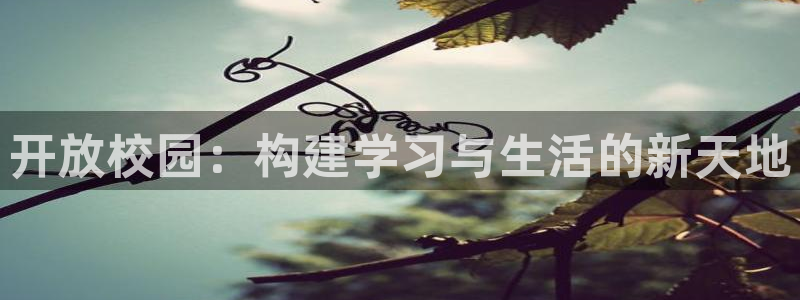 海南意昂体育4发展怎么样：开放校园：构建学习与生活的