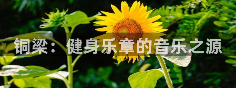 意昂体育4平台：铜梁：健身乐章的音乐之源