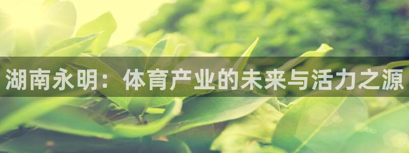 意昂平台体育：湖南永明：体育产业的未来与活力之源