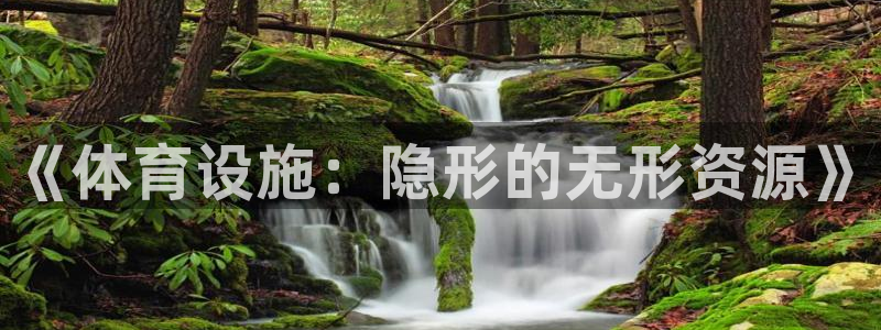 意昂体育4平台APP：《体育设施：隐形的无形资源》