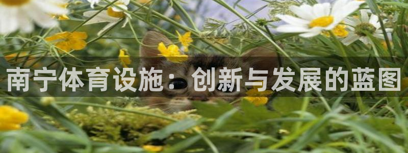 意昂体育4：南宁体育设施：创新与发展的蓝图