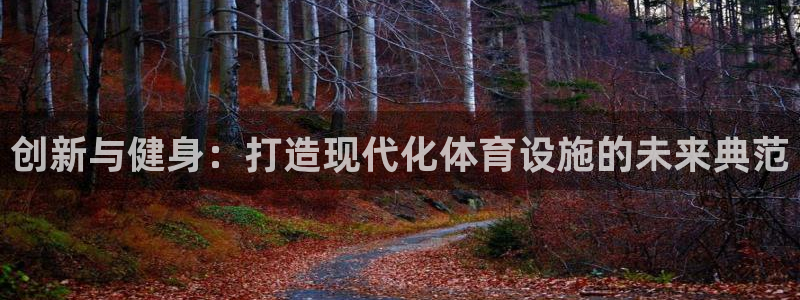 德国意昂4集团：创新与健身：打造现代化体育设施的未来