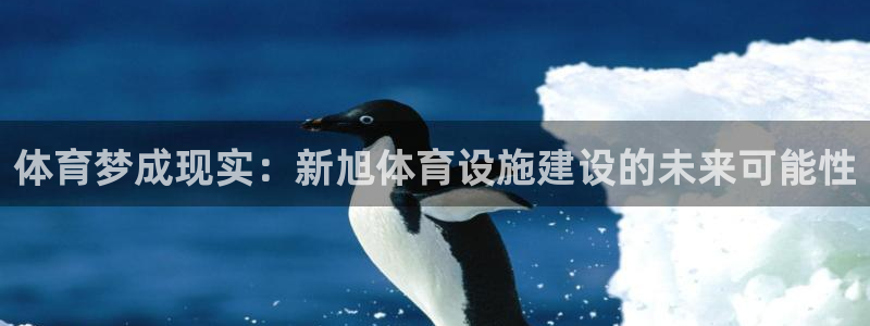 意昂体育4平台注册要钱吗是真的吗：体育梦成现实：新旭