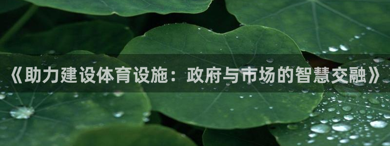 意昂体育4招商：《助力建设体育设施：政府与市场的智慧