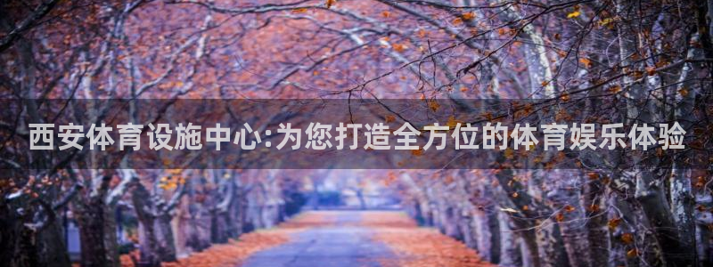 意昂4集团：西安体育设施中心:为您打造全方位的体育娱