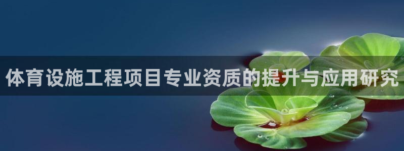 意昂4娱乐：体育设施工程项目专业资质的提升与应用研究