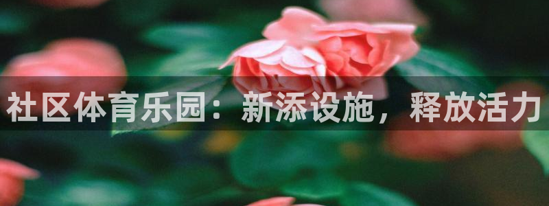 意昂4集团简介：社区体育乐园：新添设施，释放活力