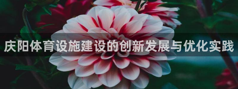 意昂4神州：庆阳体育设施建设的创新发展与优化实践