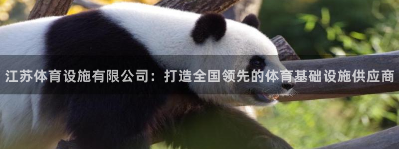 意昂体育4招商电话地址：江苏体育设施有限公司：打造全国领先的