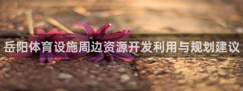 意昂体育4是干嘛的公司：岳阳体育设施周边资源开发利用与规划建