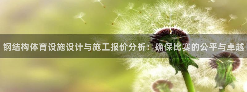 意昂体育4娱乐：钢结构体育设施设计与施工报价分析：确保比赛的
