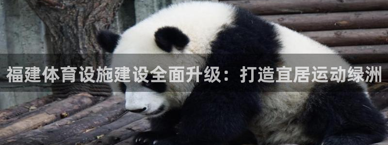 意昂体育4招商电话地址：福建体育设施建设全面升级：打造宜居运