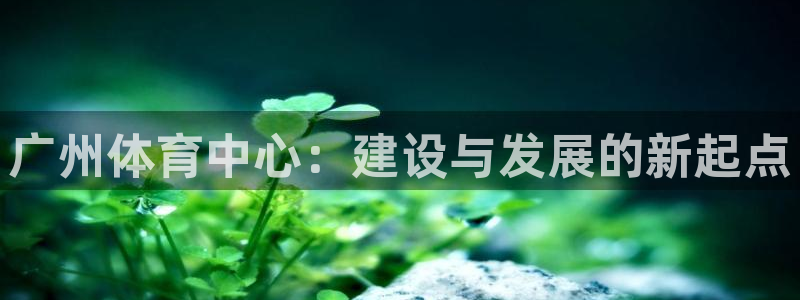 意昂4五金厂：广州体育中心：建设与发展的新起点