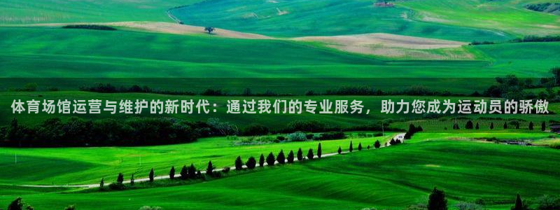 海南意昂体育4：体育场馆运营与维护的新时代：通过我们