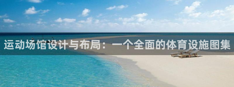 意昂4集团：运动场馆设计与布局：一个全面的体育设施图