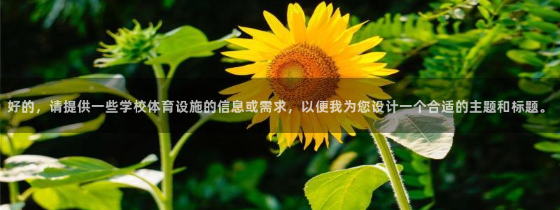 意昂4五金厂：好的，请提供一些学校体育设施的信息或需