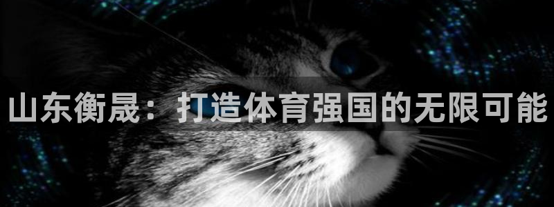 意昂体育4平台注册流程图：山东衡晟：打造体育强国的无