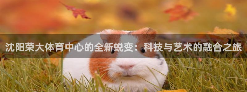 意昂体育4平台注册流程视频：沈阳荣大体育中心的全新蜕