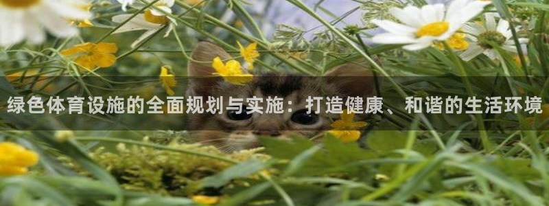 意昂体育4：绿色体育设施的全面规划与实施：打造健康、