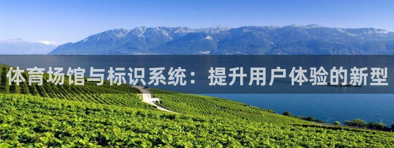 意昂4官网：体育场馆与标识系统：提升用户体验的新型