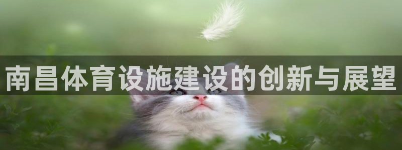 海南意昂体育4发展怎么样：南昌体育设施建设的创新与展