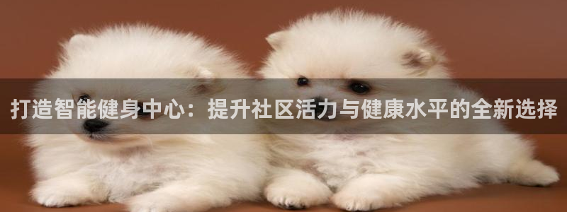 意昂4神州：打造智能健身中心：提升社区活力与健康水平