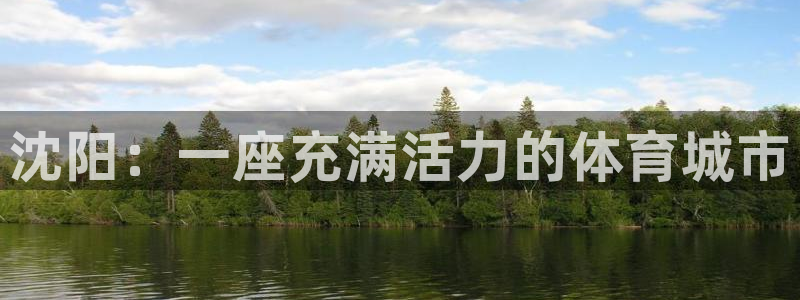 意昂体育4开户：沈阳：一座充满活力的体育城市