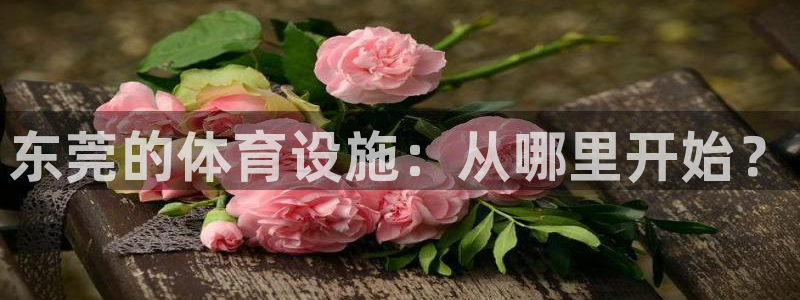 意昂体育4平台注册要钱吗：东莞的体育设施：从哪里开始