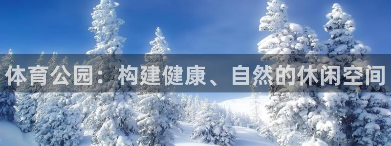 意昂4官网：体育公园：构建健康、自然的休闲空间