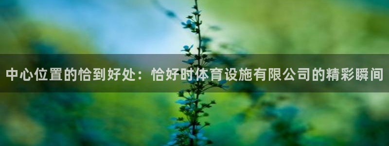 意昂体育4平台：中心位置的恰到好处：恰好时体育设施有