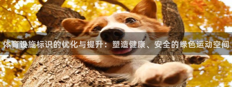 海南意昂体育4发展怎么样：体育设施标识的优化与提升：