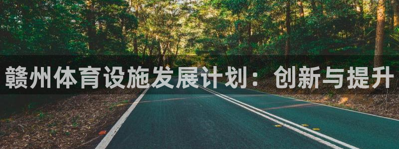 意昂体育4平台注册流程图：赣州体育设施发展计划：创新