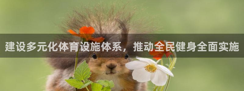 意昂4娱乐首页官网下载：建设多元化体育设施体系，推动