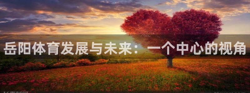 意昂4新能源：岳阳体育发展与未来：一个中心的视角